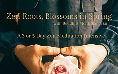 Zen Roots, Blossoms in Spring