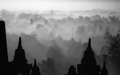 Mountains, Rivers, and the Song of Zen: A Journey Beyond Perception