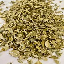 Buchu (Agathosma betulina) 2