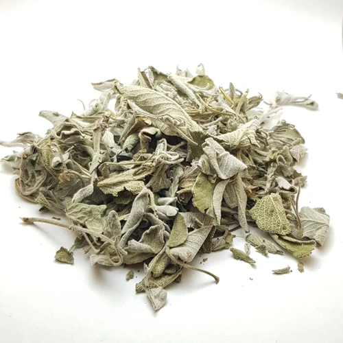 Sage (Salvia africana-lutea or Salvia officinalis) 2